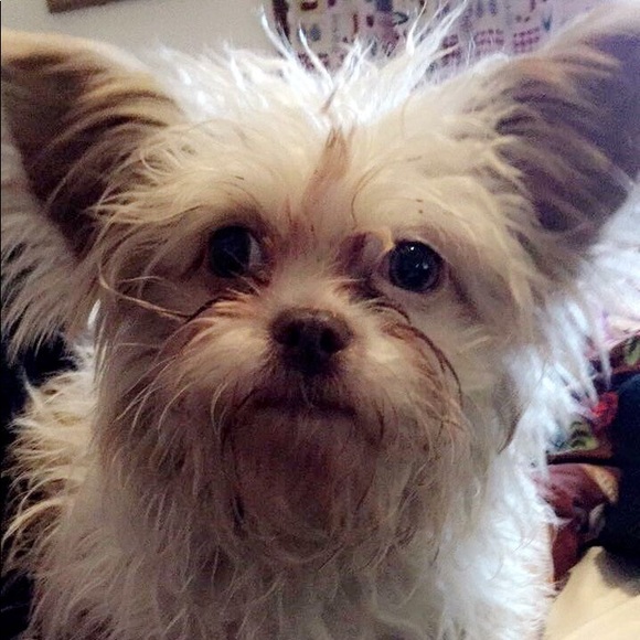 Hi my name’s Natalya! - Picture 1 of 1